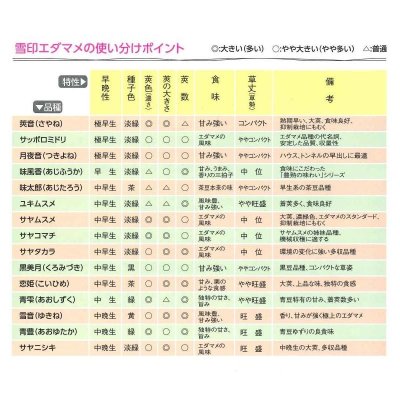 画像4: [枝豆]　サヤコマチ  　1L　雪印種苗（株）