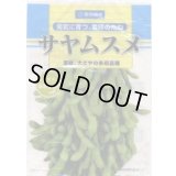 [枝豆]　サヤムスメ　1L　雪印種苗(株)