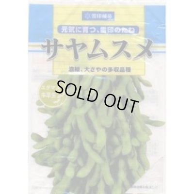 画像1: [枝豆]　サヤムスメ　1L　雪印種苗(株)