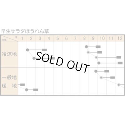 画像2: [ほうれんそう]　早生サラダ　1L　トキタ種苗（株）