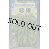 [枝豆]　恋姫　1L　雪印種苗(株)