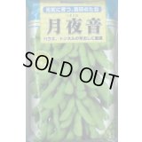 [枝豆]　月夜音　1L　雪印種苗(株)