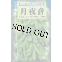 [枝豆]　月夜音　1L　雪印種苗(株)