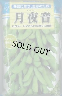 [枝豆]　月夜音　1L　雪印種苗(株)