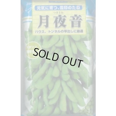 画像1: [枝豆]　月夜音　1L　雪印種苗(株)