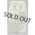 [枝豆]　雪音　1L　雪印種苗(株)