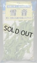 [枝豆]　雪音　1L　雪印種苗(株)