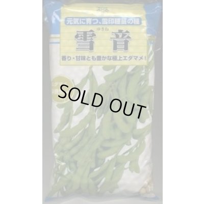 画像1: [枝豆]　雪音　1L　雪印種苗(株)