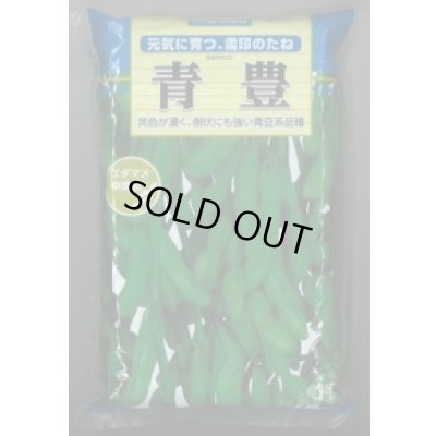 画像1: [枝豆]　青豊　1L　雪印種苗(株)