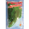 [ほうれんそう]　早生サラダほうれんそう　1L　トキタ種苗(株)