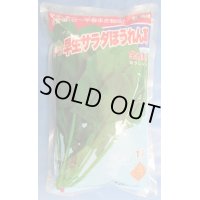 [ほうれんそう]　早生サラダ　1L　トキタ種苗（株）