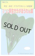 送料無料　[ほうれんそう]　早生サラダほうれんそう　1dl　トキタ種苗(株)