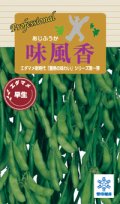 送料無料　[枝豆]　味風香　70ml(およそ160粒)　雪印種苗(株)