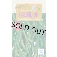 送料無料　[枝豆]　味風香　70ml(およそ160粒)　雪印種苗(株)