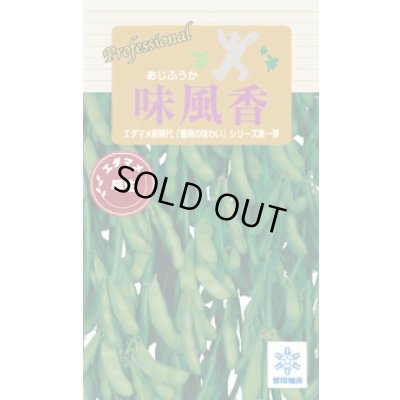 画像1: 送料無料　[枝豆]　味風香　70ml(およそ160粒)　雪印種苗(株)