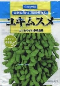 [枝豆]　ユキムスメ　1L　雪印種苗(株)
