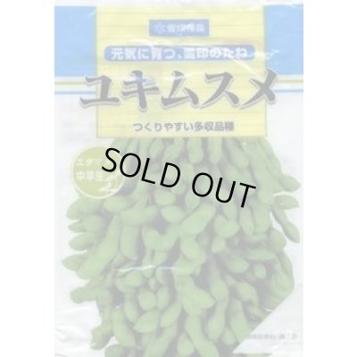 画像1: [枝豆]　ユキムスメ　1L　雪印種苗(株)