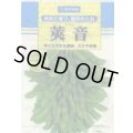 [枝豆]　莢音　1L　雪印種苗(株)