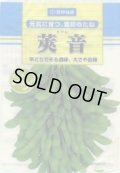 [枝豆]　莢音　1L　雪印種苗(株)
