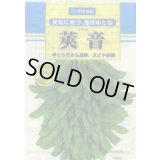 [枝豆]　莢音　1L　雪印種苗(株)