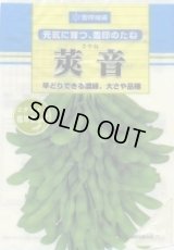 [枝豆]　莢音　1L　雪印種苗(株)
