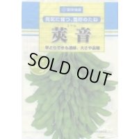 [枝豆]　莢音　1L　雪印種苗(株)