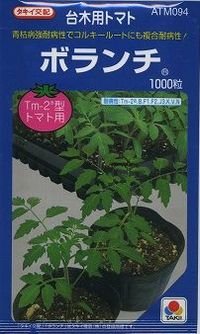 [台木/トマト用]　送料無料！　ボランチ　1000粒　タキイ種苗（株）