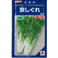 [葉物]　水菜　京しぐれ　20ｍｌ　タキイ種苗