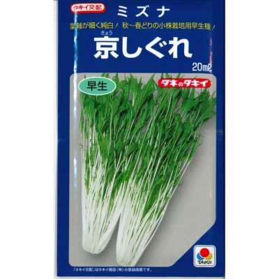 画像1: [葉物]　水菜　京しぐれ　20ｍｌ　タキイ種苗