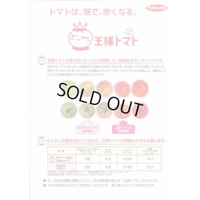 画像4: 送料無料　[トマト]　麗夏　21粒　(株)サカタのタネ　実咲550 （002815）
