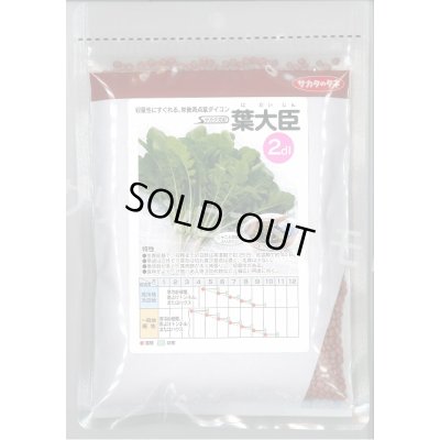 画像1: 送料無料　[大根]　葉ダイコン　葉大臣　2dl　(株)サカタのタネ