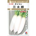 送料無料　[大根]　三太郎　20ml　タキイ種苗(株)