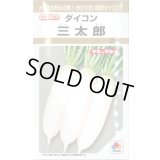 送料無料　[大根]　三太郎　20ml　タキイ種苗(株)