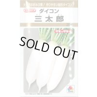 送料無料　[大根]　三太郎　20ml　タキイ種苗(株)