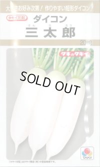 送料無料　[大根]　三太郎　20ml　タキイ種苗(株)