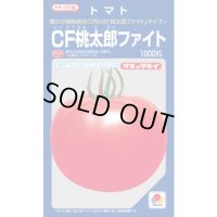 送料無料　[トマト/桃太郎系]　CF桃太郎ファイト　1000粒　貴種(コートしてません)　タキイ種苗(株)