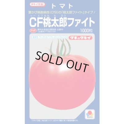 画像1: 送料無料　[トマト/桃太郎系]　CF桃太郎ファイト　1000粒　貴種(コートしてません)　タキイ種苗(株)