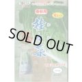 送料無料　[白菜]　娃々菜　春秋用　1g(約300粒)　トキタ種苗(株)