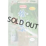 送料無料　[白菜]　娃々菜　春秋用　1g(約300粒)　トキタ種苗(株)