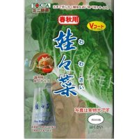 [白菜]　娃々菜　春秋用　1g（約300粒）　トキタ種苗（株）