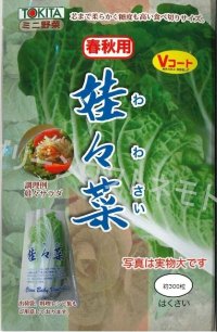 [白菜]　娃々菜　春秋用　1g（約300粒）　トキタ種苗（株）