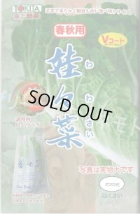 送料無料　[白菜]　娃々菜　春秋用　1g(約300粒)　トキタ種苗(株)