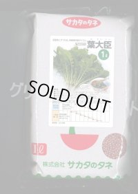 [大根] 葉ダイコン 葉大臣 1L (株)サカタのタネ