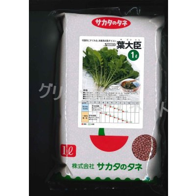 画像1: [大根]　葉ダイコン　葉大臣　1L　(株)サカタのタネ