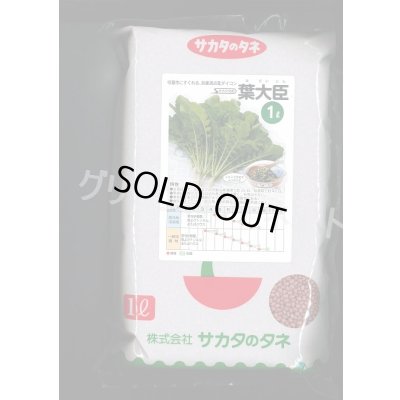 画像1: [大根]　葉ダイコン　葉大臣　1L　(株)サカタのタネ