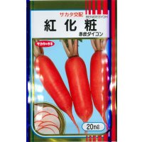 送料無料　[大根]　紅化粧　20ml　(株)サカタのタネ