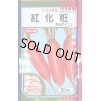 [大根]　紅化粧　20ml　サカタ交配