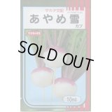 送料無料　[かぶ]　あやめ雪　10ml　(株)サカタのタネ