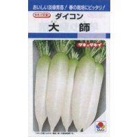 [大根] 大師 7ml タキイ種苗(株) DF