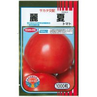 [トマト]　送料無料！　麗夏　1000粒　サカタのタネ（株）